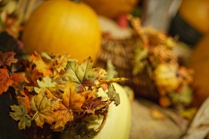 fall pumpkins and leaf decoration